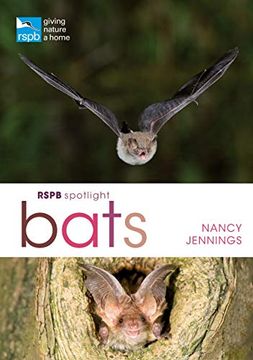portada Rspb Spotlight Bats (en Inglés)