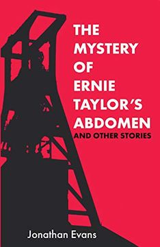 portada The Mystery of Ernie Taylor'S Abdomen and Other Stories (en Inglés)