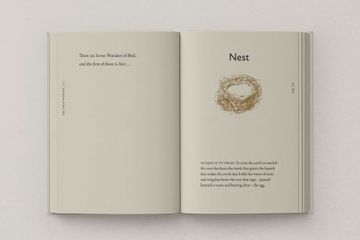 The Book of Birds: A Field Guide to Wonder and Loss