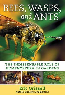 portada Bees, Wasps, and Ants: The Indispensable Role of Hymenoptera in Gardens (in English)