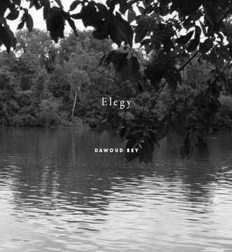 portada Dawoud Bey: Elegy (en Inglés)