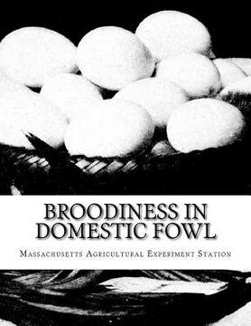 portada Broodiness in Domestic Fowl: And its Inheritance in Rhode Island Reds (en Inglés)