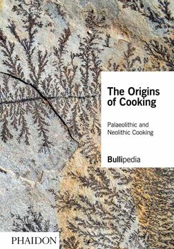 portada The Origins of Cooking: Palaeolithic and Neolithic Cooking 