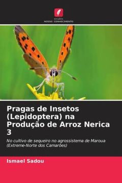 portada Pragas de Insetos (Lepidoptera) na Produã â§ã â£o de Arroz Nerica 3