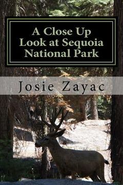 portada A Close Up Look at Sequoia National Park (en Inglés)