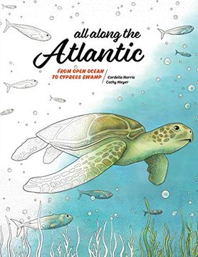 portada All Along the Atlantic: From Open Ocean to Cypress Swamp (Coloring Nature) 