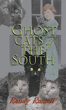 portada Ghost Cats of the South (en Inglés)