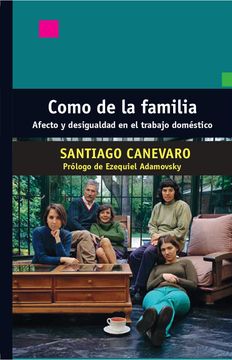 portada Como de la Familia Afecto y Desigualdad en el Trabajo Domestico (in Spanish)
