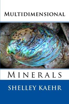 portada Multidimensional Minerals