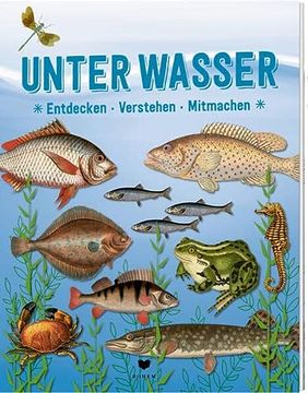 portada Unter Wasser: Entdecken Verstehen Mitmachen (en Alemán)