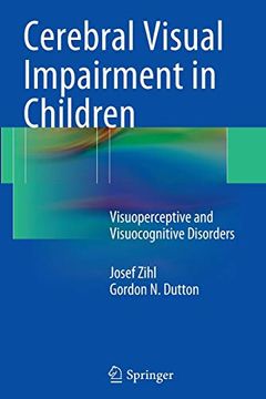 portada Cerebral Visual Impairment in Children: Visuoperceptive and Visuocognitive Disorders (in English)