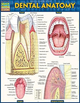 portada Dental Anatomy (Quick Study Academic)