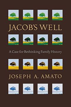 portada Jacob's Well: A Case for Rethinking Family History (en Inglés)
