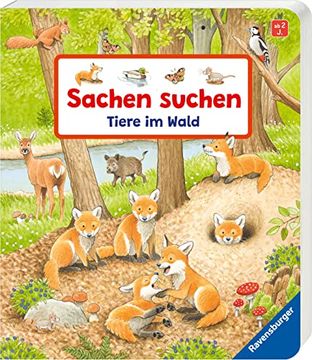 portada Sachen Suchen: Tiere im Wald (in German)