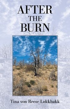 portada After the Burn (en Inglés)