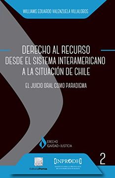 portada Derecho al Recurso Desde el Sistema Interamericano a la Situacion de Chile