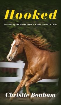 portada Hooked: Lessons of the Heart From a Little Horse in Cabo (en Inglés)