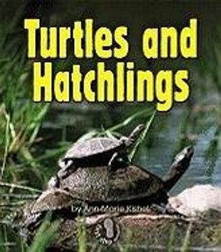 portada turtles and hatchlings (en Inglés)