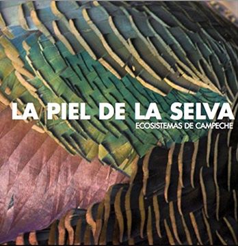 portada The Skin of the Rainforest: Ecosystems in Campeche (en Español, Inglés)
