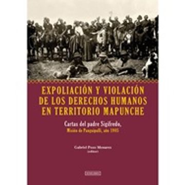 portada Expoliacion y Violacion de los Derechos Humanos en Territorio Mapuche (in Spanish)