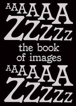 portada Book of Images: An Illustrated Dictionary of Visual Experiences (in English)