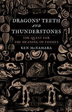 portada Dragons' Teeth and Thunderstones: The Quest for the Meaning of Fossils (en Inglés)