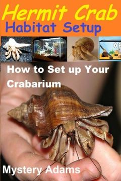 portada Hermit Crab Habitat Setup: Hermit Crab care and Habitat Set-up (en Inglés)