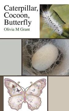 portada caterpillar, cocoon, butterfly