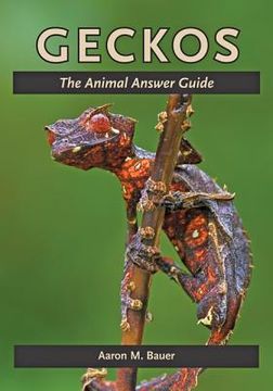 Geckos: The Animal Answer Guide (en Inglés)