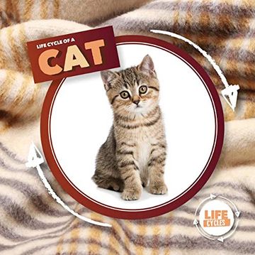 portada Life Cycle of a cat (Life Cycles) (en Inglés)