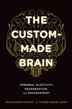portada The Custom-Made Brain: Cerebral Plasticity, Regeneration, and Enhancement (en Inglés)