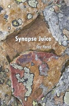 portada Synapse Juice: Poetry for the Inquisitive Mind (en Inglés)