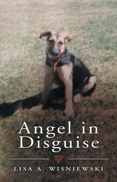portada Angel in Disguise (en Inglés)