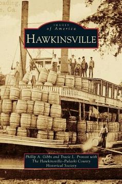 portada Hawkinsville (in English)