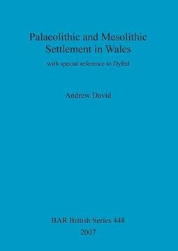 portada palaeolithic and mesolithic settlement in wales: with special reference to dyfed (en Inglés)