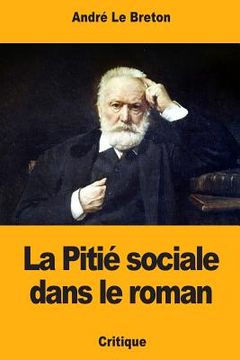 portada La Pitié sociale dans le roman (in French)