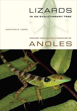portada Lizards in an Evolutionary Tree: Ecology and Adaptive Radiation of Anoles (Organisms and Environments) (libro en Inglés)