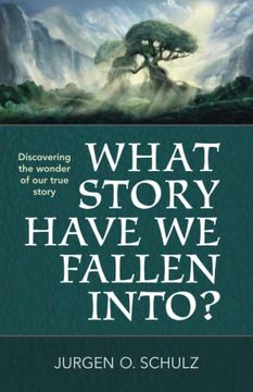 portada What Story Have we Fallen Into? Discovering the Beauty and Wonder of our True Story in the Gospel of John (in English)