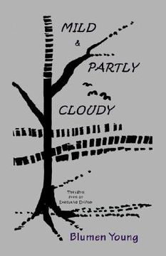 portada mild and partly cloudy: thoughts from an executive drifter (en Inglés)