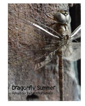 portada Dragonfly Summer