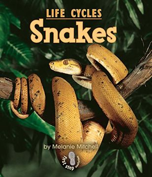 portada Snakes (First Step Nonfiction) (en Inglés)