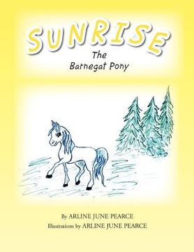 portada sunrise the barnegat pony (en Inglés)