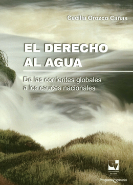 portada DERECHO AL AGUA DE LAS CORRIENTES GLOBALES A LOS CAUCES NACIONALES, EL (in Spanish)