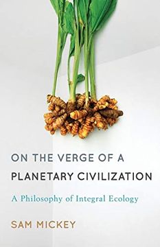 portada On the Verge of a Planetary Civilization: A Philosophy of Integral Ecology 