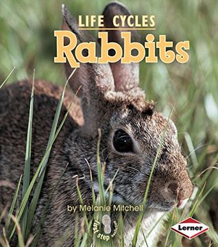 portada Rabbits (First Step Nonfiction) (en Inglés)