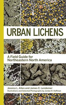 portada Urban Lichens: A Field Guide for Northeastern North America (in English)