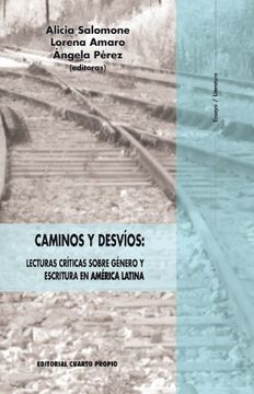 portada Caminos y Desvíos: Lecturas Críticas Sobre Género y Escritura en América Latina.
