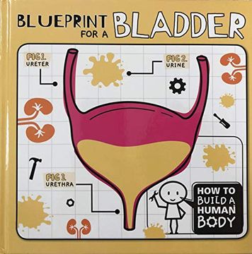 portada Blueprint for a Bladder (How to Build a Human Body) (en Inglés)