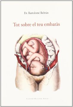 Tot sobre el teu embaràs