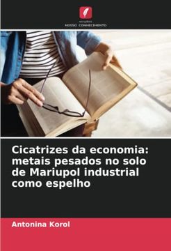 portada Cicatrizes da Economia: Metais Pesados no Solo de Mariupol Industrial Como Espelho